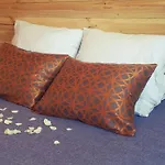 Cabana De Huespedes En Un Microvinedo Familiar