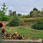 Cabana De Huespedes En Un Microvinedo Familiar