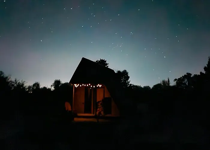 Cabana De Huespedes En Un Microvinedo Familiar