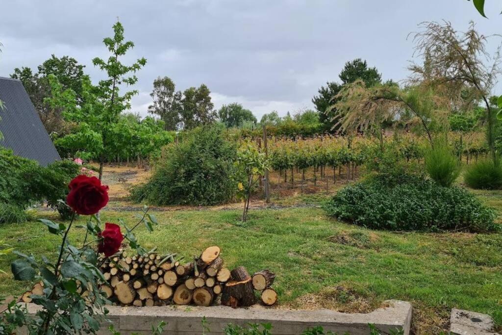 Apartamento De Huespedes En Un Microvinedo Familiar Rauco (Maule)